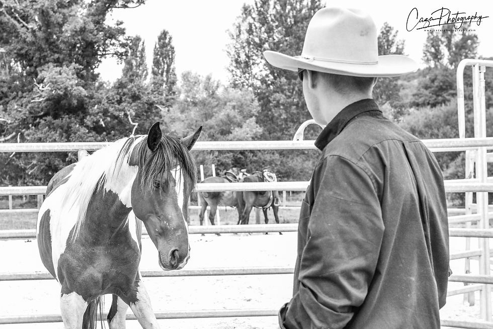 Attitude - Focus - Feel - Timing - Balance