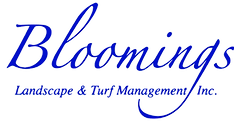 Bloomings%2520-%2520Logo%2520-%2520FB-01