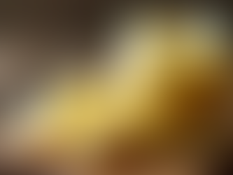 The Skin Benefits of Beef Tallow Revealed