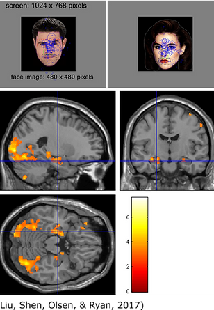 Liu et al 2017 JoN.png