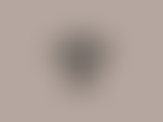 Pourquoi la Tortue ?