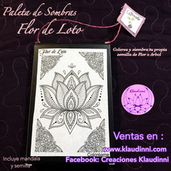 35349099_10160533207770204_6003983625446490112_n