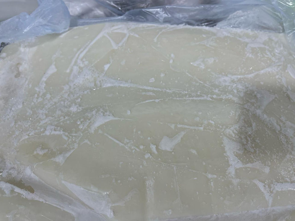 Thumbnail: Giant Squid