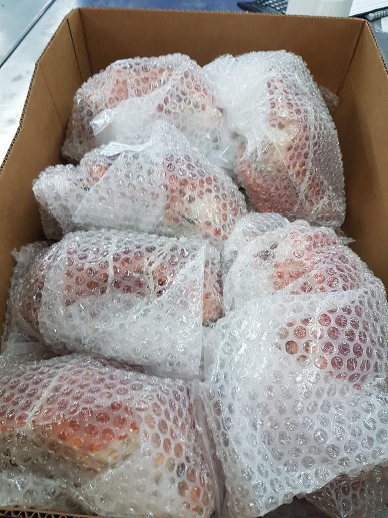 Miniatura: Chilean King Crab