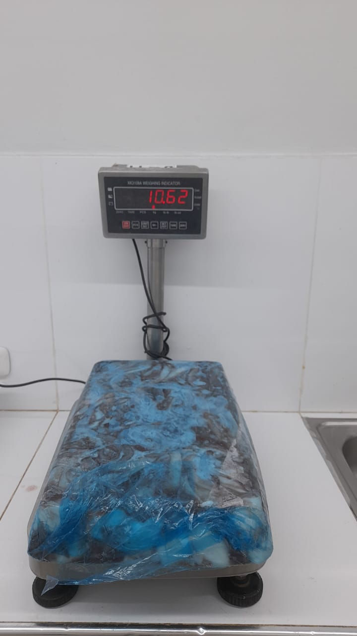 Thumbnail: Giant Squid