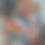Thumbnail: Chilean Salmon