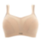 Panache Power Wired Sports Bra