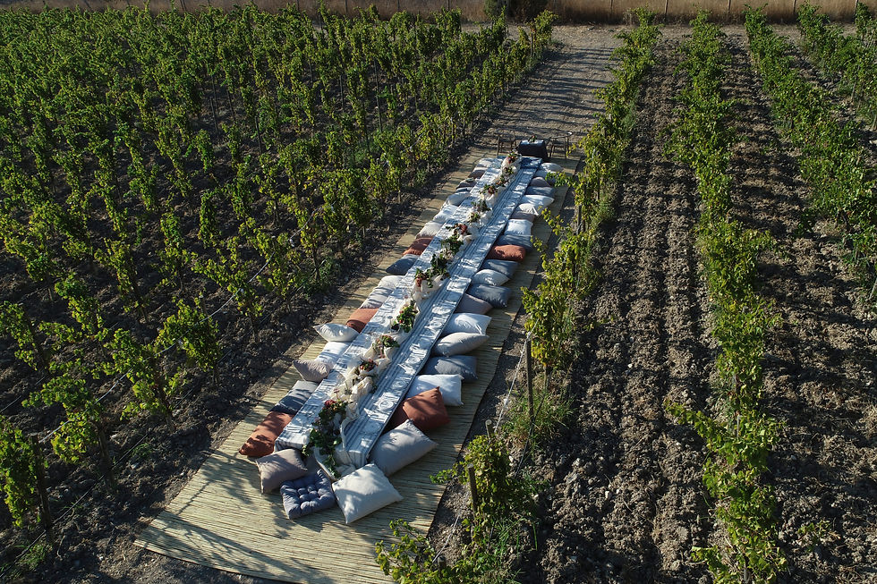 Thumbnail: First LAND, URLA
