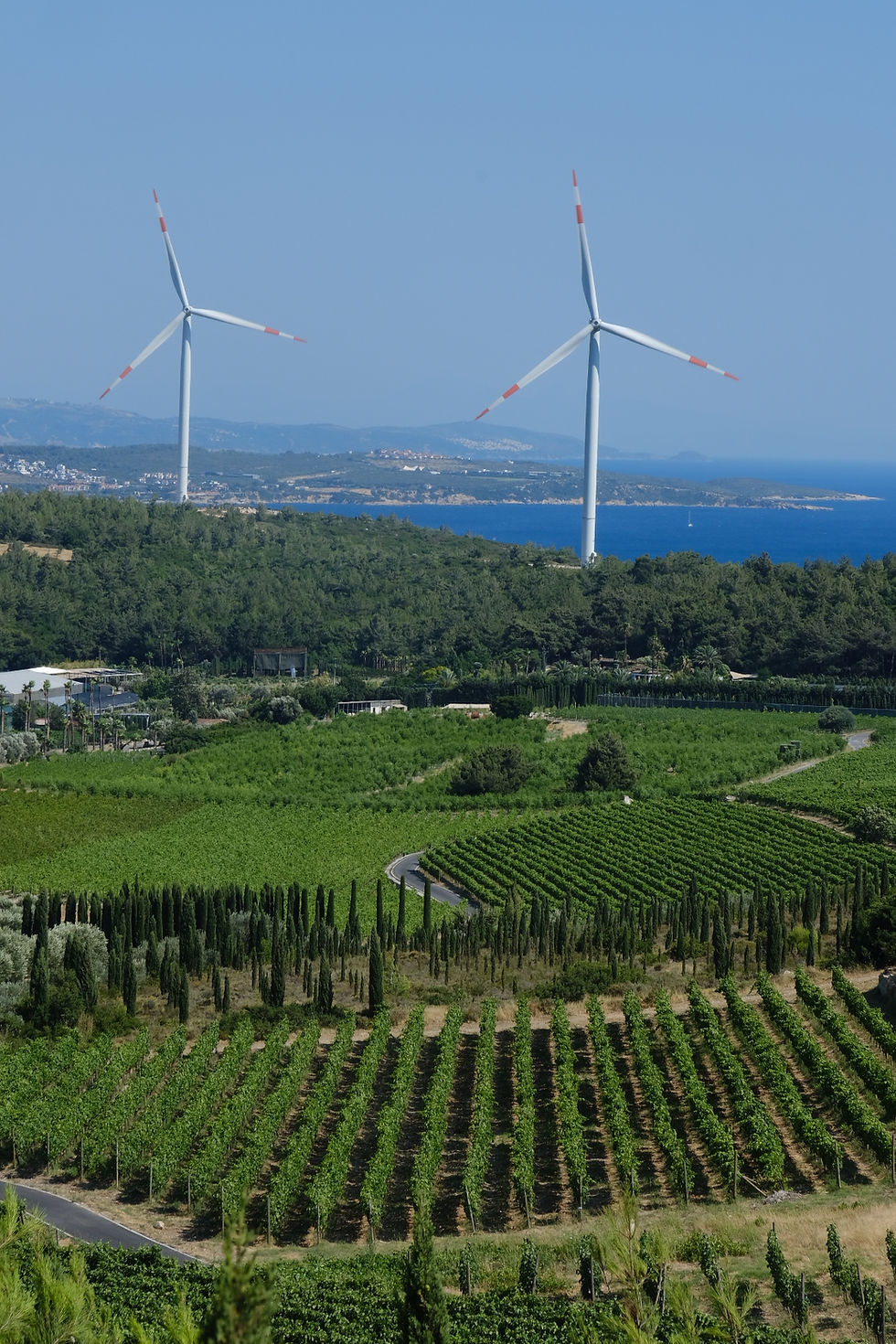 Thumbnail: First LAND, URLA
