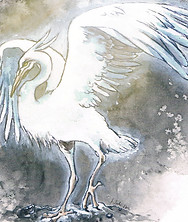 d5kkexi-567c2d22-a8da-40c7-929d-863f91e3