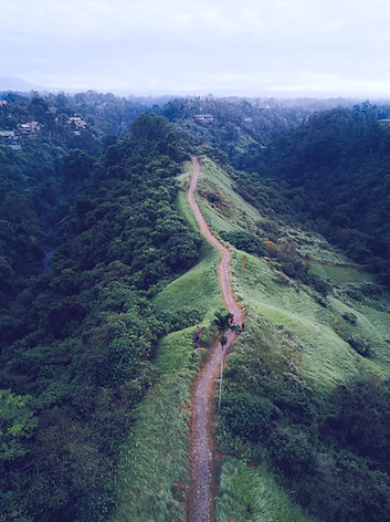 Hiking Trail_edited.jpg