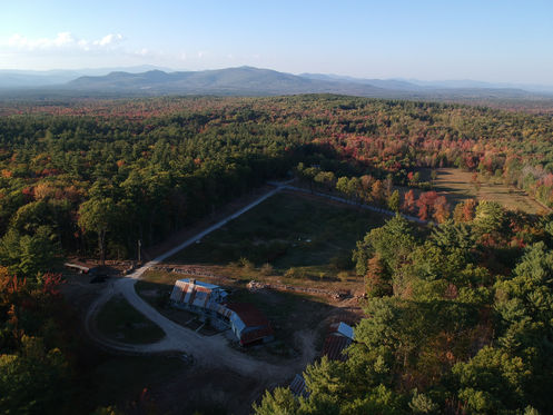 Hatches Orchard from above