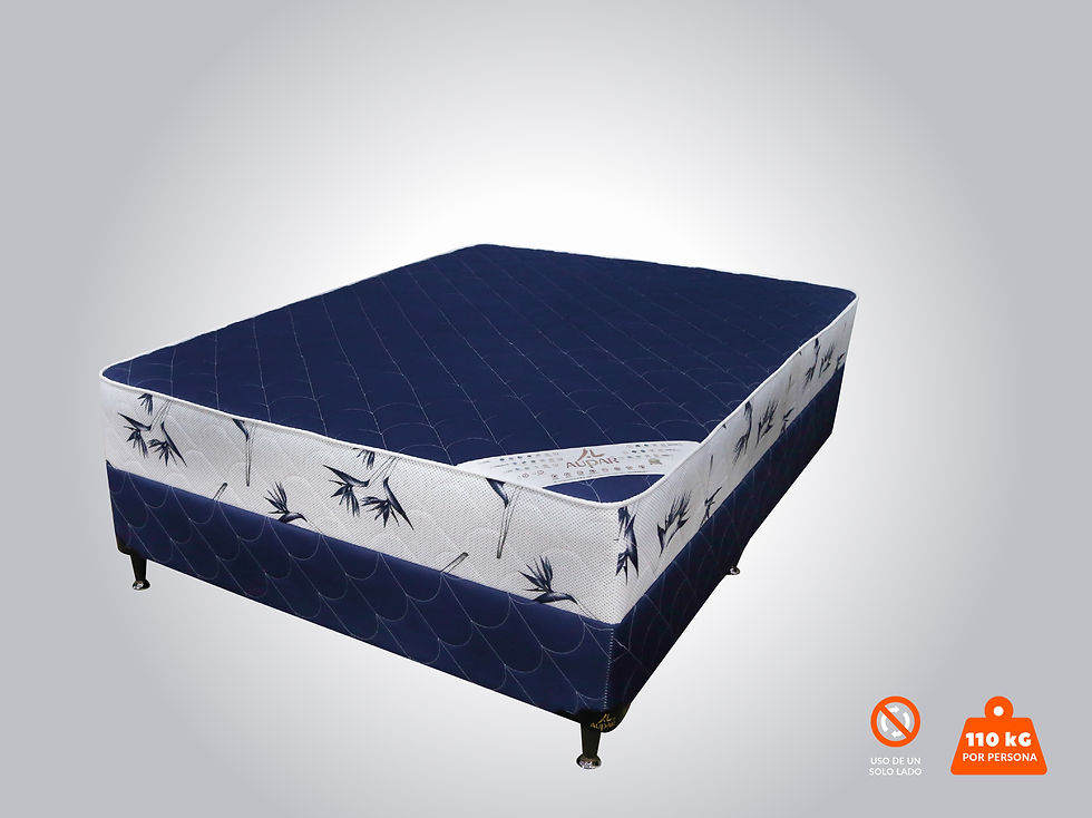 Miniatura: CONECTION