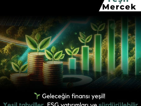 Yeşil Finans: Sürdürülebilir Yatırımların Geleceği