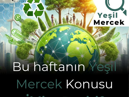 İklim Pozitif Şirketler: Karbon Nötr Olmanın Ötesine Geçen Markalar 🌍♻️