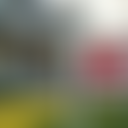 Understanding Land Transfer Tax for Home Buyers