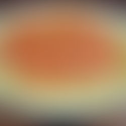 Veggies & Chickpea Paprikash