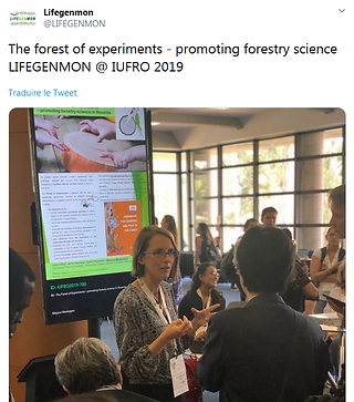 IUFRO_MarjanaW_poster