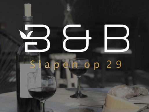 Logo + huisstijl én website B&B Slapen op 29