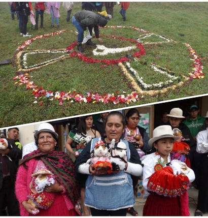 WhatsApp Image 2019-05-31 at 11.11.31.jp