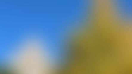 混乱する政局は、どこに向かうのか……（令和７年１０月１４日　火曜日）