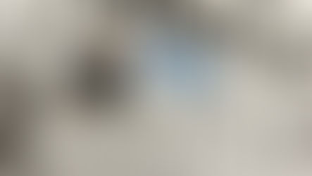 ３月２０日（水曜日・春分の日）