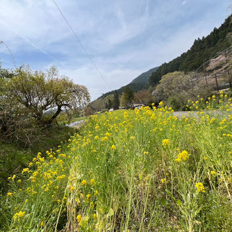 ４月２１日（日曜日）