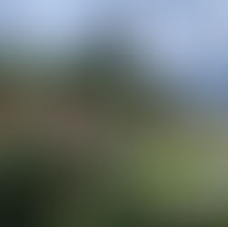 ５月２９日（水曜日）