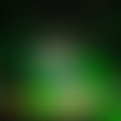 令和６年１月６日土曜日　大安～会合はじめとバスケはじめと