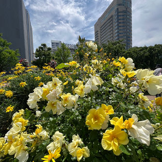５月２８日（火曜日）