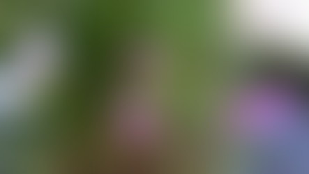 令和5年10月26日木曜日 友引