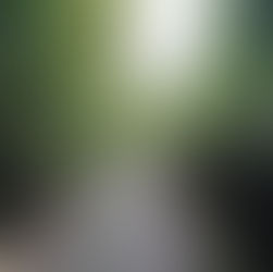 【短信】９月２３日土曜日　仏滅