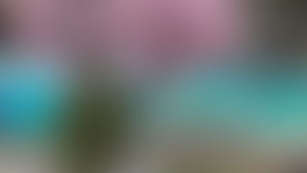 ３月７日（木曜日）