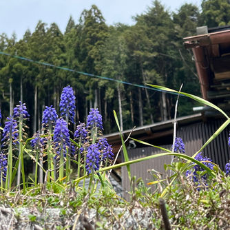 ４月１８日（木曜日）