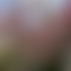 ５月８日（水曜日）