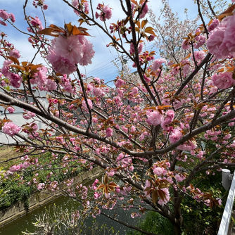 ５月８日（水曜日）