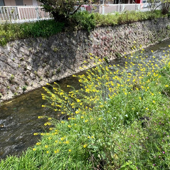 ５月７日（火曜日）