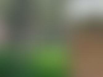 Kannattaako avohakkuista luopua?