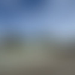 ５月２１日（火曜日）