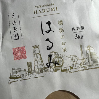 ６月１８日（火曜日）