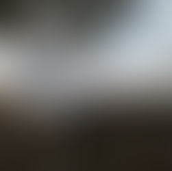 ２月１７日（土曜日）