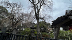 ２月２６日（月曜日）