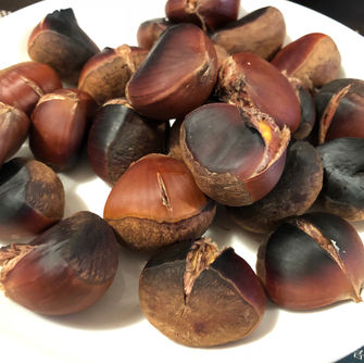 【短信】９月２５日（月）　赤口