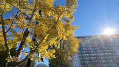 令和６年１２月７日（土）