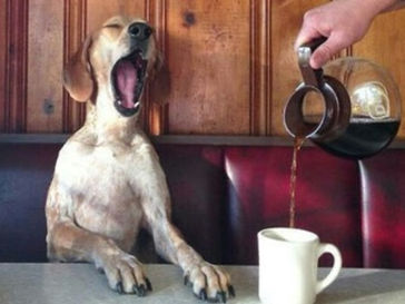 Wake-Up Call