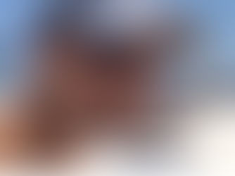 Pensacola Bushwhacker