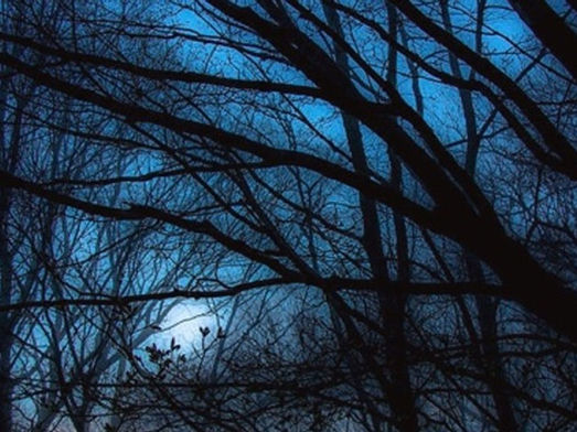 Tangled Up in Blue Cocktail