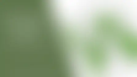 First International Hydrogen Aviation Conference (IHAC 2020), Glasgow, Scotland