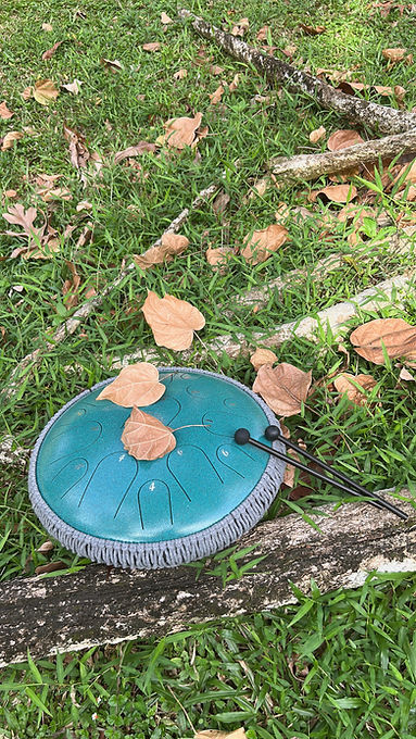 tongue drum green.jpg