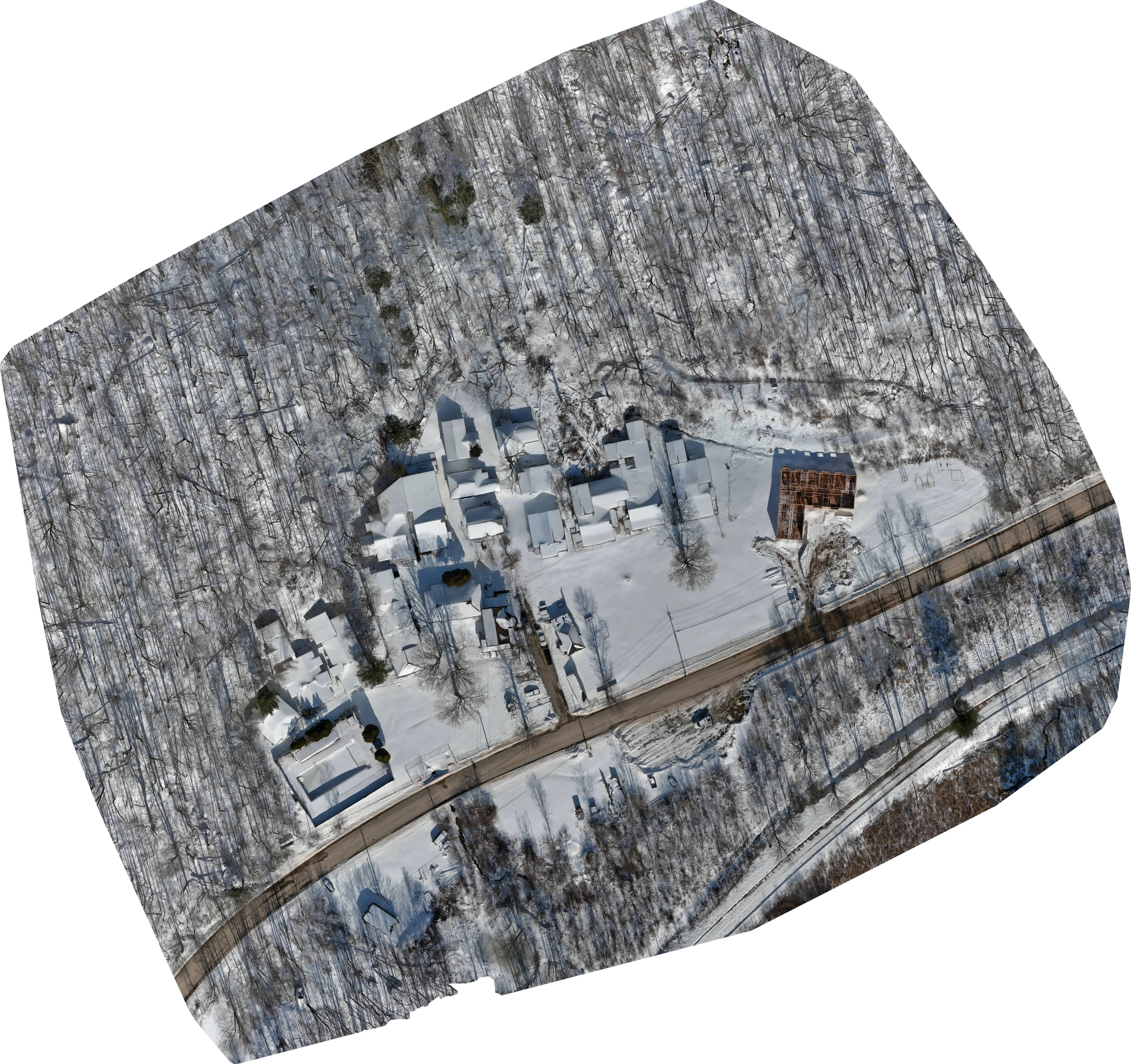 orthophoto.webp